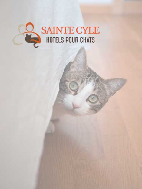 Chatterie Sainte Cyle
