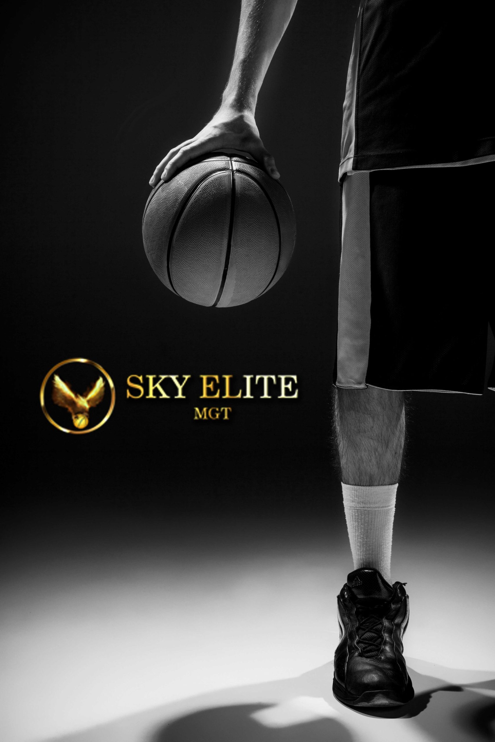 SkyElite MGT